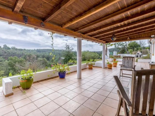 ENCANTADORA CASA DE CAMPO PERTO DE SÃO TEOTÓNIO COM LINDAS VISTAS PARA O CAMPO