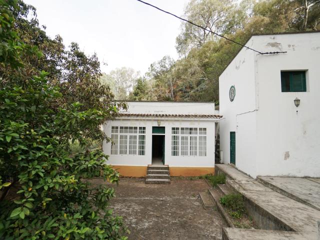 Encantadora Casa Rústica en Teror, Zona del Hornillo, con Amplio Terreno y Vistas Privilegiadas