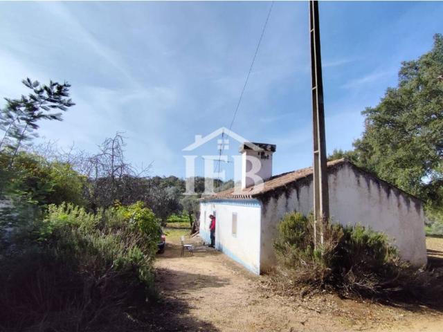 Encantadora finca rústica de 5,5 hectáreas con casa de campo en Alto das Minas Portugal