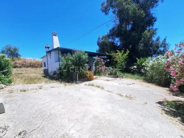 Encantadora FINCA RUSTICA en Coin rodeada e naturaleza y Arboles frutales