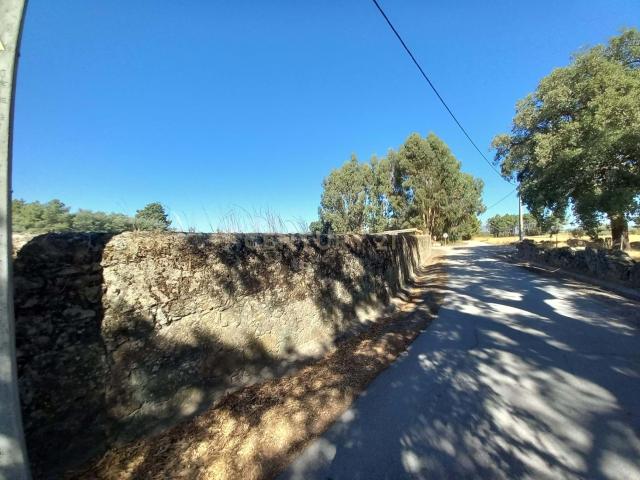 Encantadora Propriedade para Recuperação em Lardosa, Castelo Branco