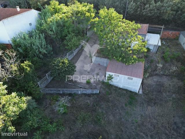Encantadora quinta de 5 080,00 m na Carniceira Vale de Cavalos