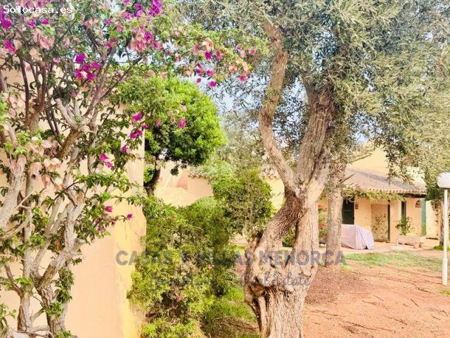 Encanto mediterráneo en Cala en Bosch, un refugio para disfrutar de Menorca