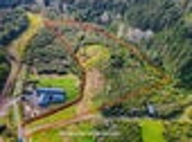 Enchanting Abode 8 Solway Rd, Whitford