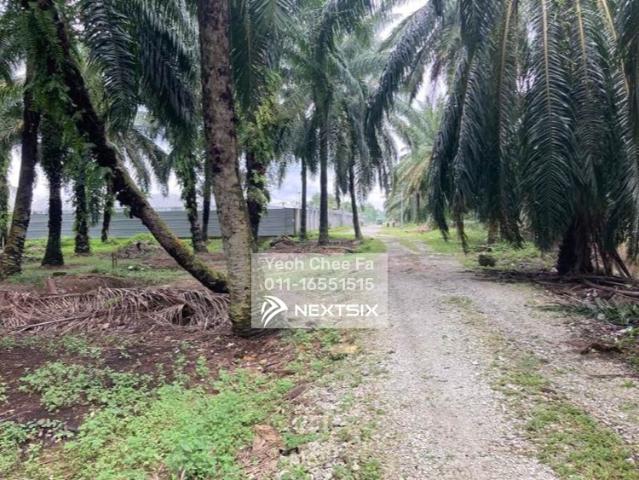 End Lot Advantage Modern Layout Top Tier Security Strategic Location