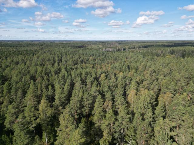 Enens väg 5