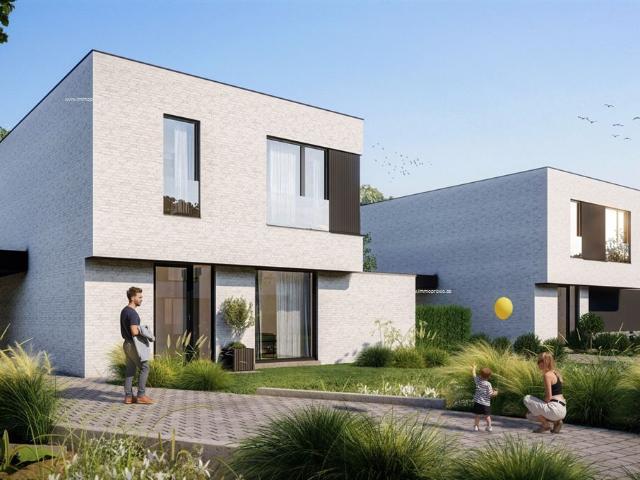 Energiezuinige open bebouwing in groene buurt