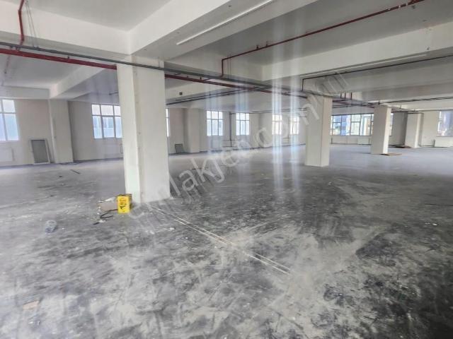 Enes Yeterden İskanlı 1000 M2 Üretime Uygun İş Yeri