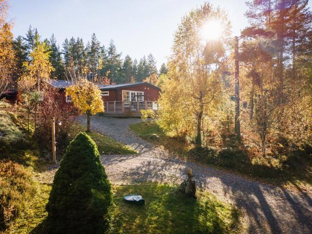 Enestigen 11