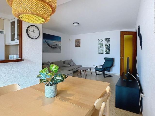 Enjoy an Unforgettable Summer in Port Saplaya!