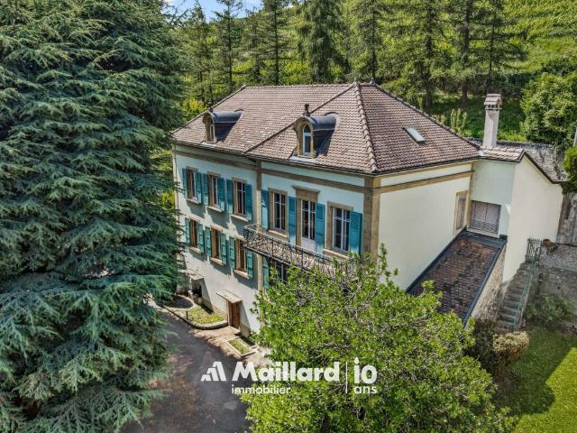 Enkel Herrenhaus mit 3 Wohnungen und freistehender Villa