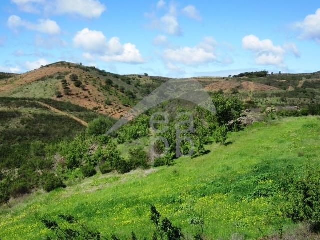 Enredo com vista para o país