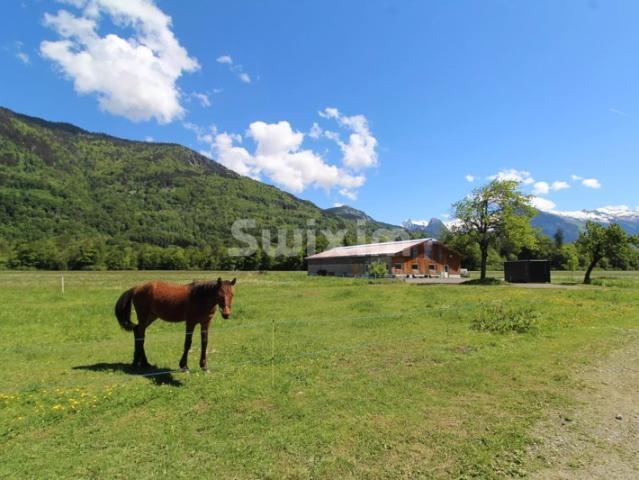 Ensemble d’exception: ferme 350 m² + hangar 390 m², +3 ha constructible et agricole, à proximité de Samoëns
