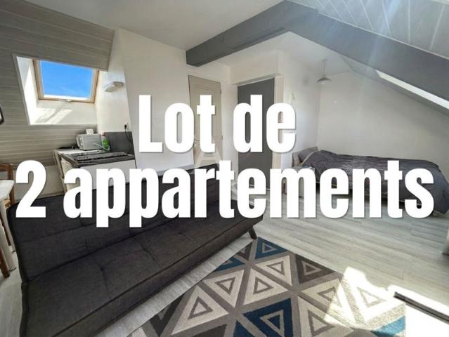 Ensemble de 2 appartements centre ville