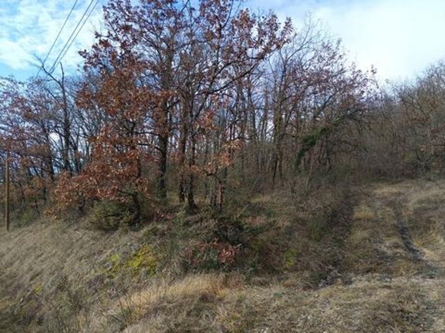 Ensemble de 3 terrains boisés 4870 m²