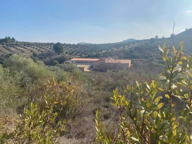 ENSEMBLE DE GITES, 3.68ha PYRENEES ORIENTALES