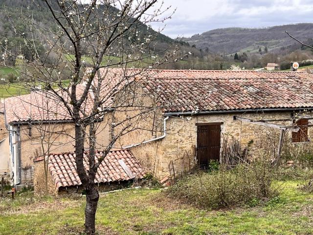 Ensemble d'immobilier à rénover 300m² Villefort