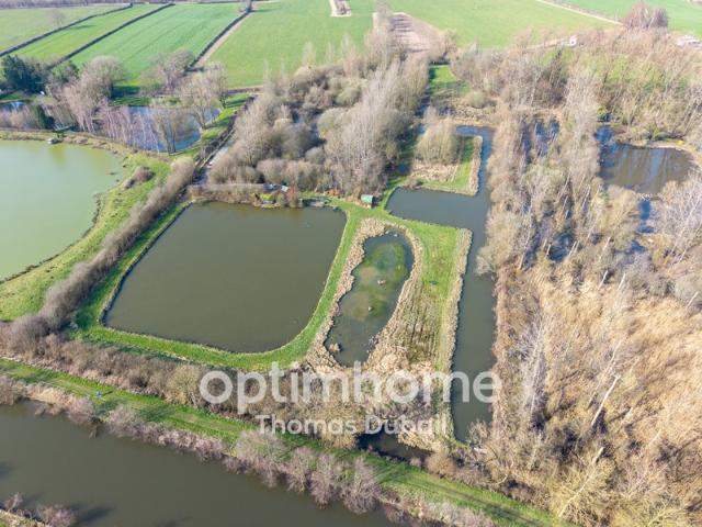 Ensemble exceptionnel de deux étangs sur plus de 18 000 m²