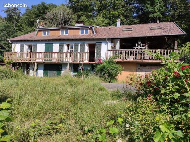 Ensemble immobilier avec box à chevaux sur 2 hectares en bordure de foret  route sans issue