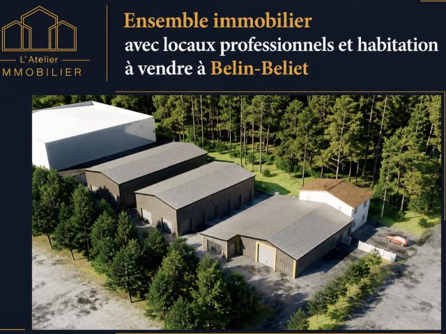 Ensemble immobilier avec locaux professionnels et habitation à vendre à Belin Beliet