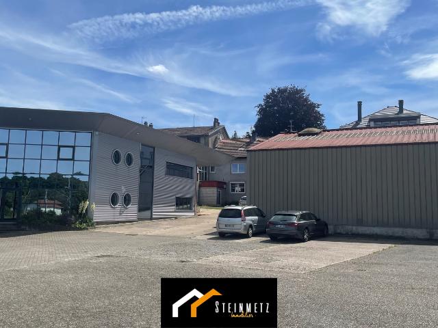 Ensemble immobilier à vendre en exclusivité Sarrebourg