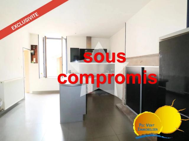 Ensemble immobilier de 2 grands appartements avec grenier, caves