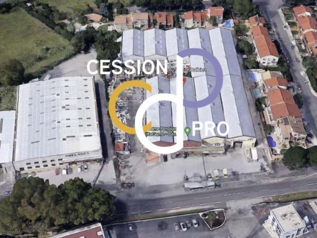 Ensemble Immobilier Exceptionnel D'activité Ou De Stockage D. 4850m² Perpignan