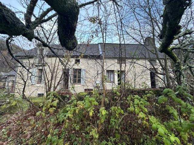 Ensemble immobilier 2 maisons + grange FROLOIS
