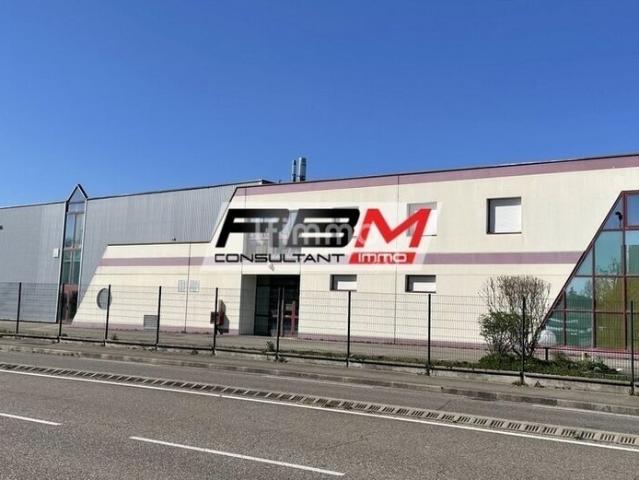 Ensemble immobilier industriel à Wittenheim 68270 Haut Rhin