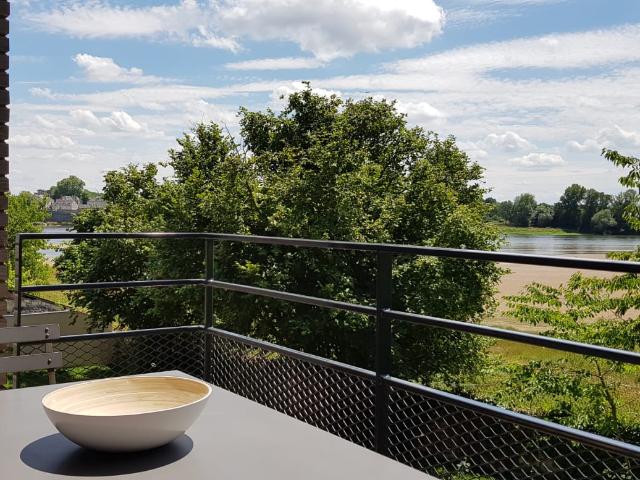 Ensemble immobilier Les Ponts de Cé, vue Loire