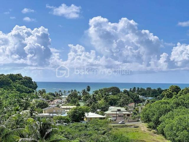 Ensemble immobilier villa et ses deux locatifs vue mer