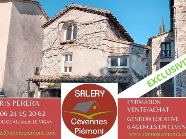 Ensemble Immobilier 198m² Aumessas