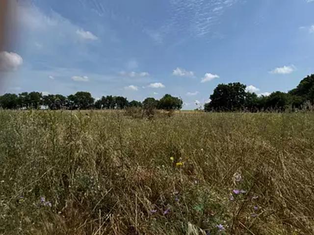 Entre Vignes 34400 Programme neuf terrain neuf à vendre
