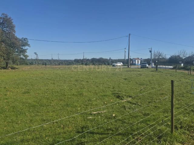 ENTRE A PAZ DO CAMPO E A VOZ DO MAR