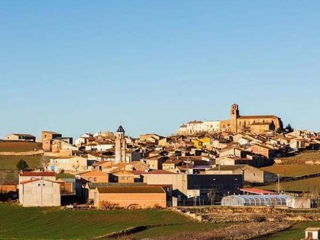 Entre Cerezos Campillo De Aragon Zaragoza