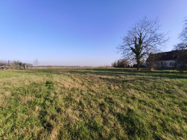 Entre Meung sur Loire et Huisseau sur Mauves