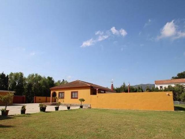 Entre Naranjos