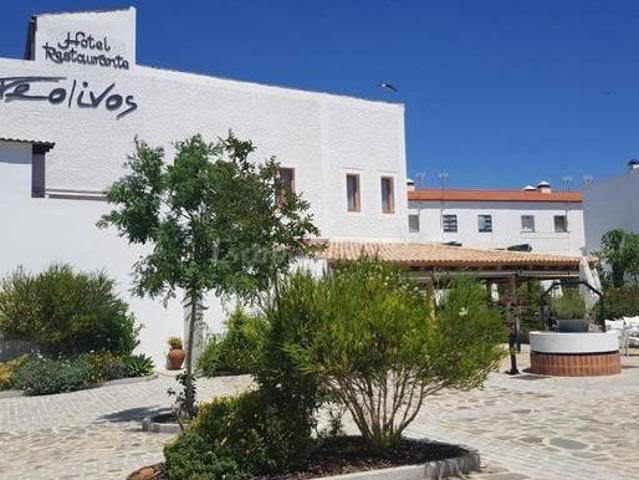 Entreolivos