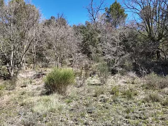 Entrechaux 84340 Achat / Vente terrain
