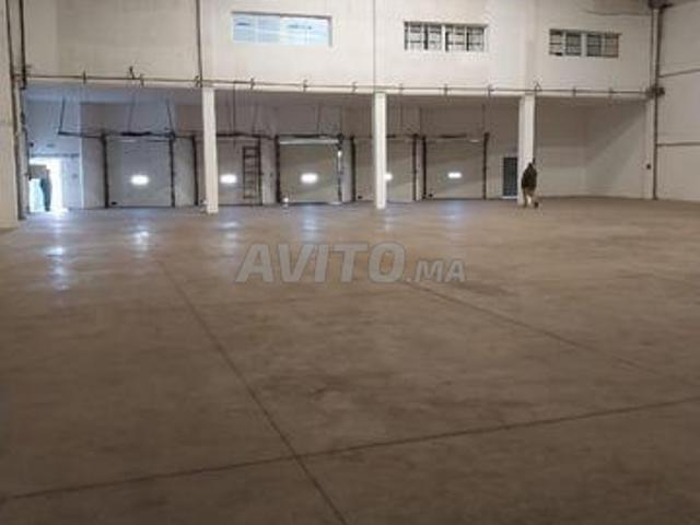ENTREPÔT 1000m² 5 quais à louer à Ain sbaa