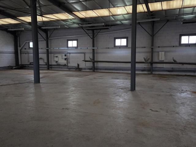 Entrepôt 195 m² Olivet Bail derogatoire