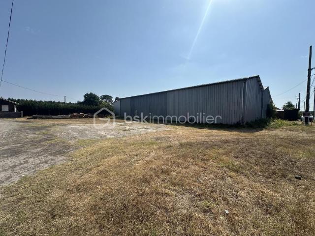 Entrepôt 300 m² sur parcelle constructible