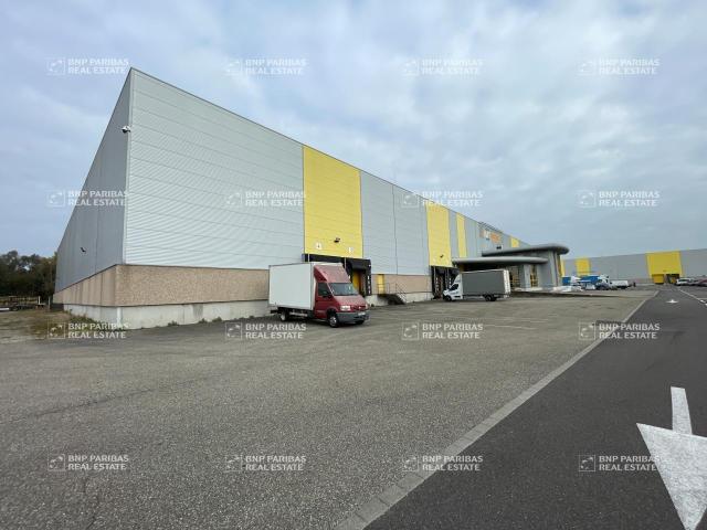 Entrepôt logistique à louer Herrlisheim Proche A35 et D29
