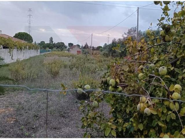 Entroncamento Entroncamento LS97121963