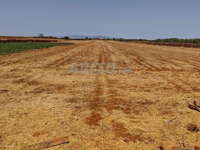 Environs de Larache