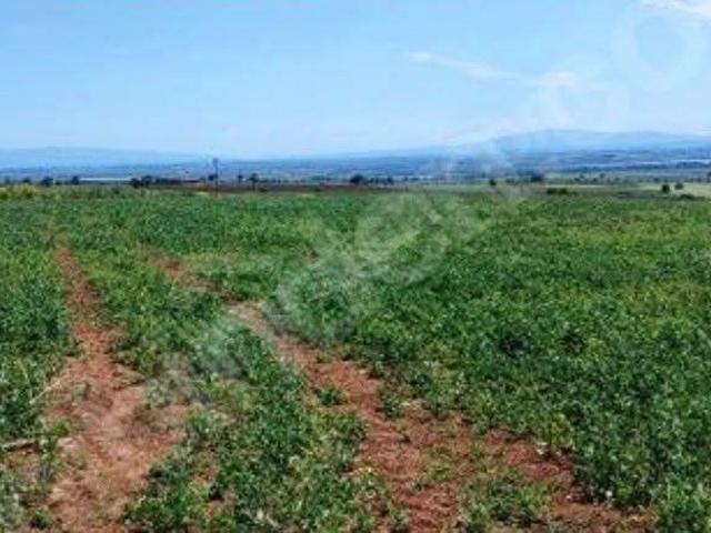 ESA Gayrimenkulden Karacabey Fevzipaşada Satılık Arazi