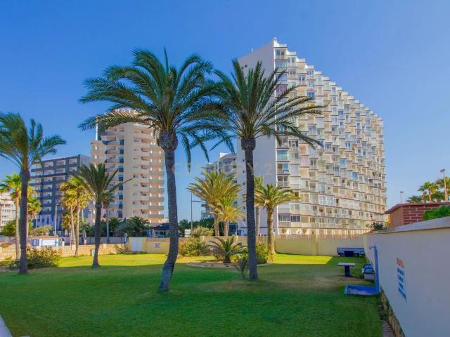 ️ Escápate este invierno al Mediterráneo: estudio en Calpe
