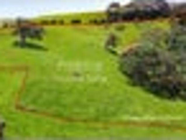 Escape to peaceful native bush