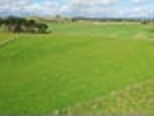 Escape to the country