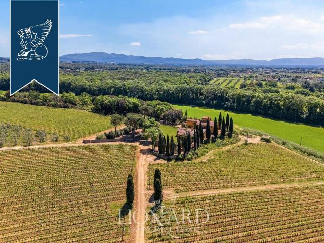 Esclusivo casale di 7000 mq in vendita Montescudaio, Toscana